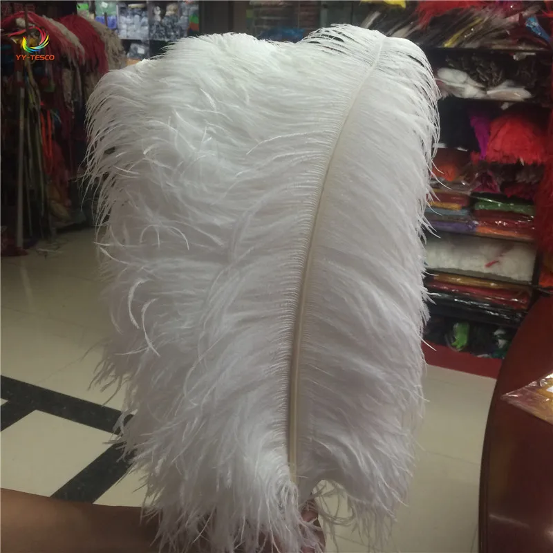 Wholesale Cheap 100Pcs/Lot natural White Ostrich Feathers Hard rod 15-75CM Hotel Party Wedding Decorations Jewelry plumes
Wholesale Cheap 100Pcs/Lot natural White Ostrich Feathers Hard rod 15-75CM Hotel Party Wedding Decorations Jewelry plumes
