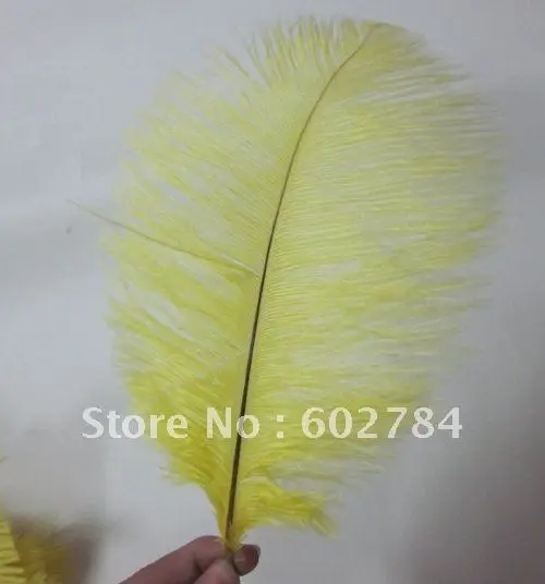 Ostrich drab Feather 100pcs/ lot 12-14" 30-35cm yellow ostrich plumage Free Shipg
Ostrich drab Feather 100pcs/ lot 12-14" 30-35cm yellow ostrich plumage Free Shipg