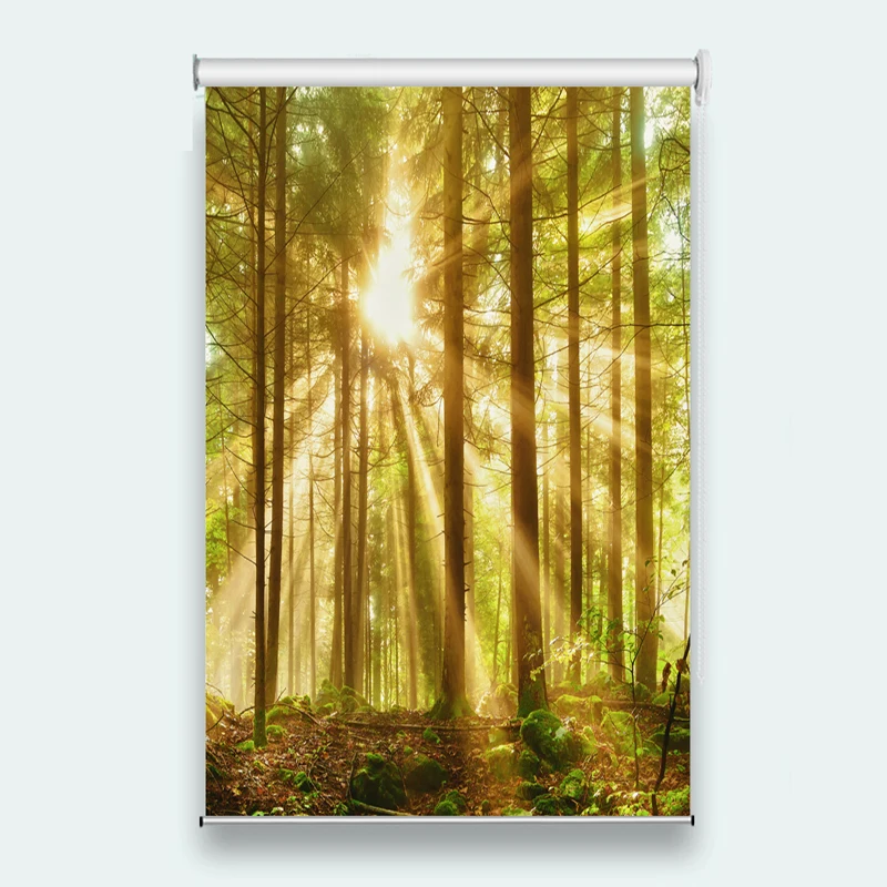 Sunshine forest 3d Roller Blinds window Living Room Bathroom stereoscopic Roller Curtains For any window Photo Roller Curtains
Sunshine forest 3d Roller Blinds window Living Room Bathroom stereoscopic Roller Curtains For any window Photo Roller Curtains