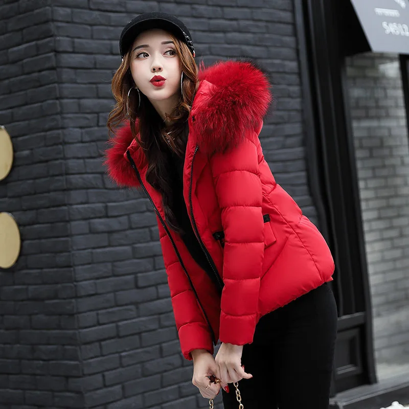 Nice Black Parkas Female Winter Coat Jacket Thicken Warm Feather Cotton Down Nagymaros Collar Womens Outwear For Women Winter
Nice Black Parkas Female Winter Coat Jacket Thicken Warm Feather Cotton Down Nagymaros Collar Womens Outwear For Women Winter