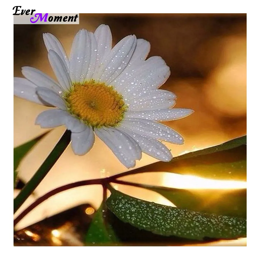 Diamond Embroidery Factory Wholesale Diamond Painting Flowers Cross Stitch Home Decor Rhinestone Mosaic Needlework ASF094
Diamond Embroidery Factory Wholesale Diamond Painting Flowers Cross Stitch Home Decor Rhinestone Mosaic Needlework ASF094