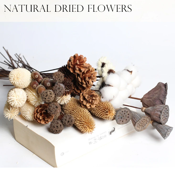 DIY Craft Accessories Dried Flowers Lotus Cotton Floral Preserved Flower Decorative Florals Branch Rustic Wedding Party Decor
DIY Craft Accessories Dried Flowers Lotus Cotton Floral Preserved Flower Decorative Florals Branch Rustic Wedding Party Decor
