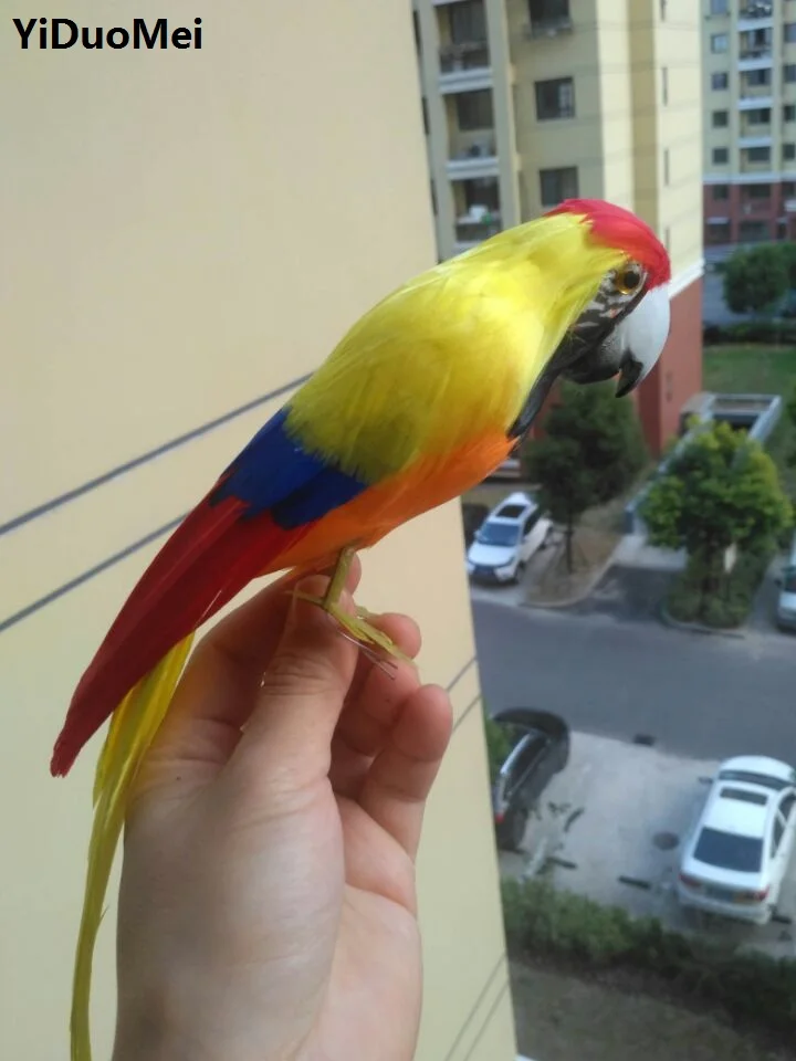 artificial bird about 30cm beautiful feathers parrot bird handicraft,prop,home garden decoration gift p1528
artificial bird about 30cm beautiful feathers parrot bird handicraft,prop,home garden decoration gift p1528