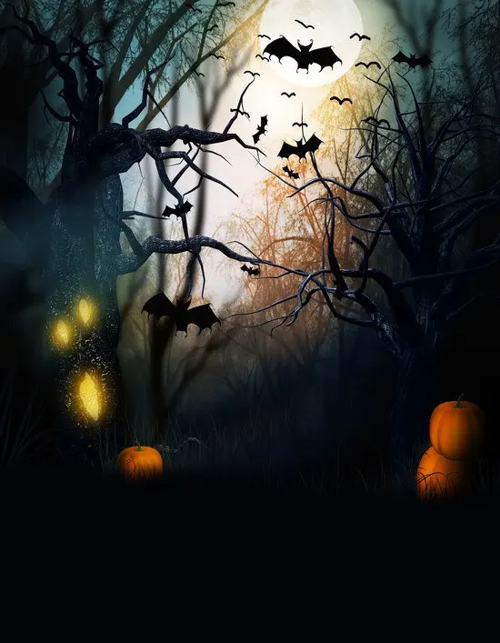 7X10ft Halloween party backgrounds Thin vinyl cloth photography backdrops computer Printing backdrops for photo studio Ha-077
7X10ft Halloween party backgrounds Thin vinyl cloth photography backdrops computer Printing backdrops for photo studio Ha-077