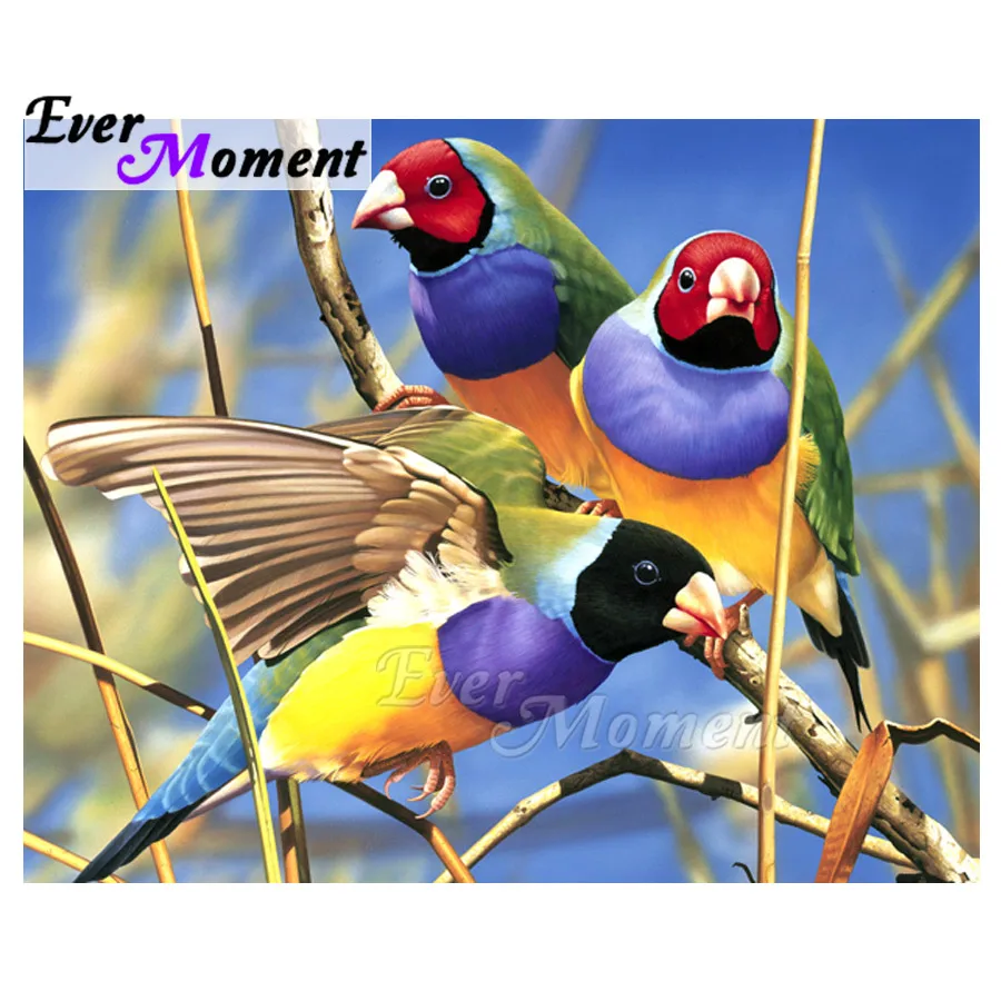Ever Moment Diamond Painting Colorful Bird Branch Full Square Drill 5D DIY Diamond Embroidery Cross Stitch Decor ASF1696
Ever Moment Diamond Painting Colorful Bird Branch Full Square Drill 5D DIY Diamond Embroidery Cross Stitch Decor ASF1696