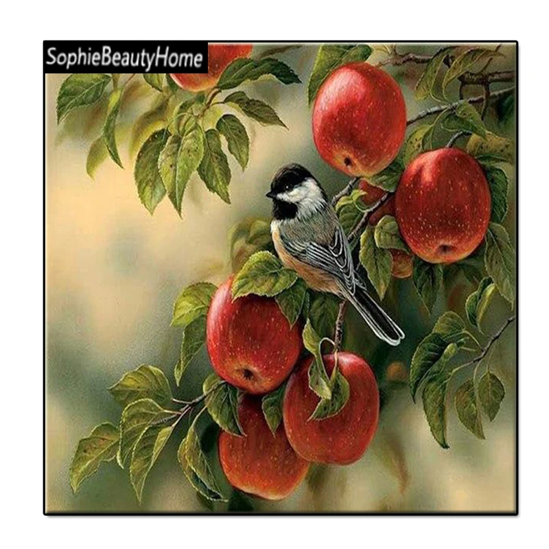 Sophie beleza casa costura Diy diamante pintura ponto de cruz pardal pintura diamante bordado quadrado diamante mosaico foto
Sophie beleza casa costura Diy diamante pintura ponto de cruz pardal pintura diamante bordado quadrado diamante mosaico foto