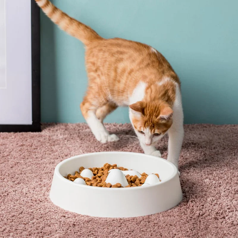Youpin Mijia JordanJudy Pet Slow Food Bowl Healthy Material Chew Slowly Adjusting Emotions Easy to Clean Pet Feed Pot
Youpin Mijia JordanJudy Pet Slow Food Bowl Healthy Material Chew Slowly Adjusting Emotions Easy to Clean Pet Feed Pot