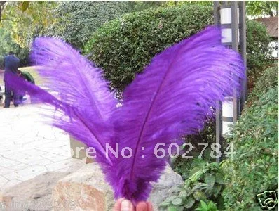Free shipping purple ostrich feathers wholesale100pcs/ lot 8-10inch 20-25cm real ostrich feather
Free shipping purple ostrich feathers wholesale100pcs/ lot 8-10inch 20-25cm real ostrich feather