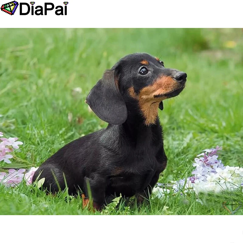 DIAPAI 5D DIY Diamond Painting 100% Full Square/Round Drill "Animal dog" Diamond Embroidery Cross Stitch 3D Decor A22154
DIAPAI 5D DIY Diamond Painting 100% Full Square/Round Drill "Animal dog" Diamond Embroidery Cross Stitch 3D Decor A22154
