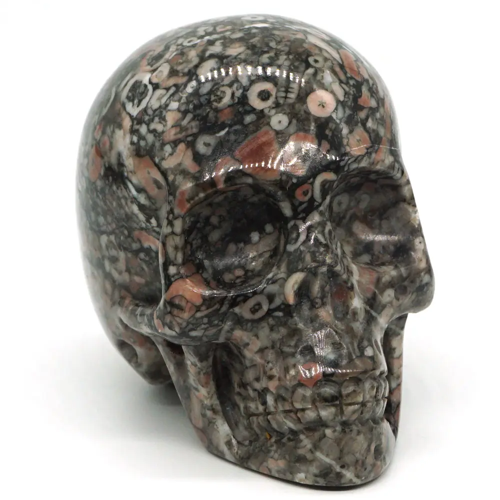 

3"Crinoid Fossil Jasper Skull Stone Carved Chakra Healing Reiki Feng Shui Skull Decorative Crafts, Minerals