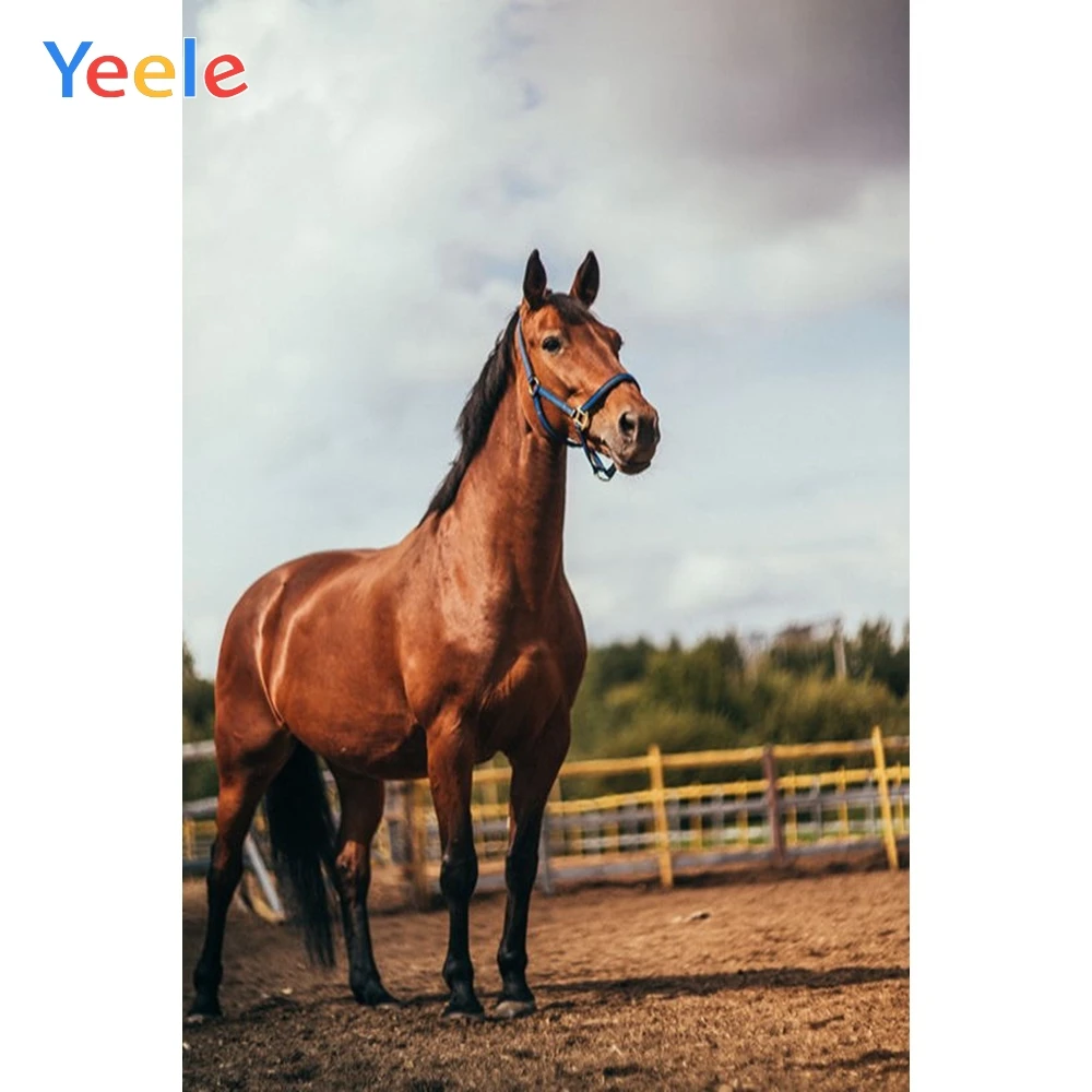 Yeele Vinyl Horse Racecourse Children Birthday Party Photography Background Child Baby Photographic Backdrop For Photo Studio
Yeele Vinyl Horse Racecourse Children Birthday Party Photography Background Child Baby Photographic Backdrop For Photo Studio