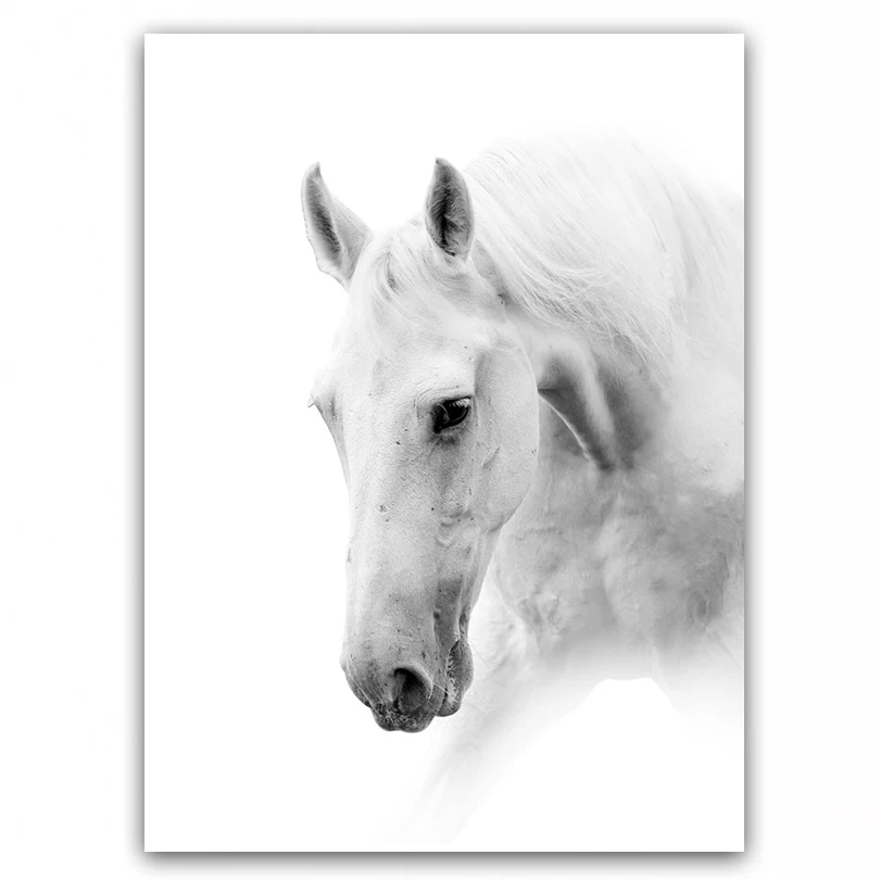 DONGMEI OILPAINTING oil painting Animal Painting Home Decor Art painting pictures DM17072402
DONGMEI OILPAINTING oil painting Animal Painting Home Decor Art painting pictures DM17072402