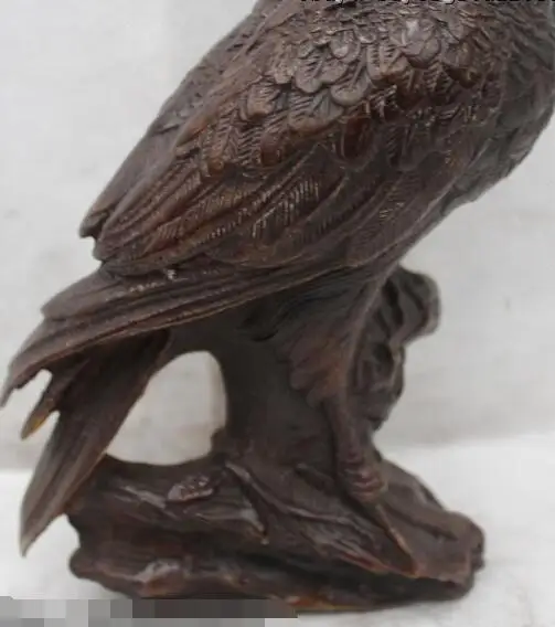 S02974 9" Ferocious Chinese Bronze Lifelike Arabia Hawk Eagle Bird Figures Statue
S02974 9" Ferocious Chinese Bronze Lifelike Arabia Hawk Eagle Bird Figures Statue