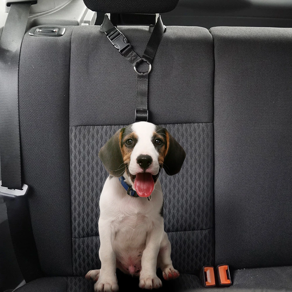 Adjustable Pet Car Seat Belt Strap Restraint Safety Leads Vehicle Seatbelt Harness Nylon Fabric Elastic Pet Car Seat Belt
Adjustable Pet Car Seat Belt Strap Restraint Safety Leads Vehicle Seatbelt Harness Nylon Fabric Elastic Pet Car Seat Belt