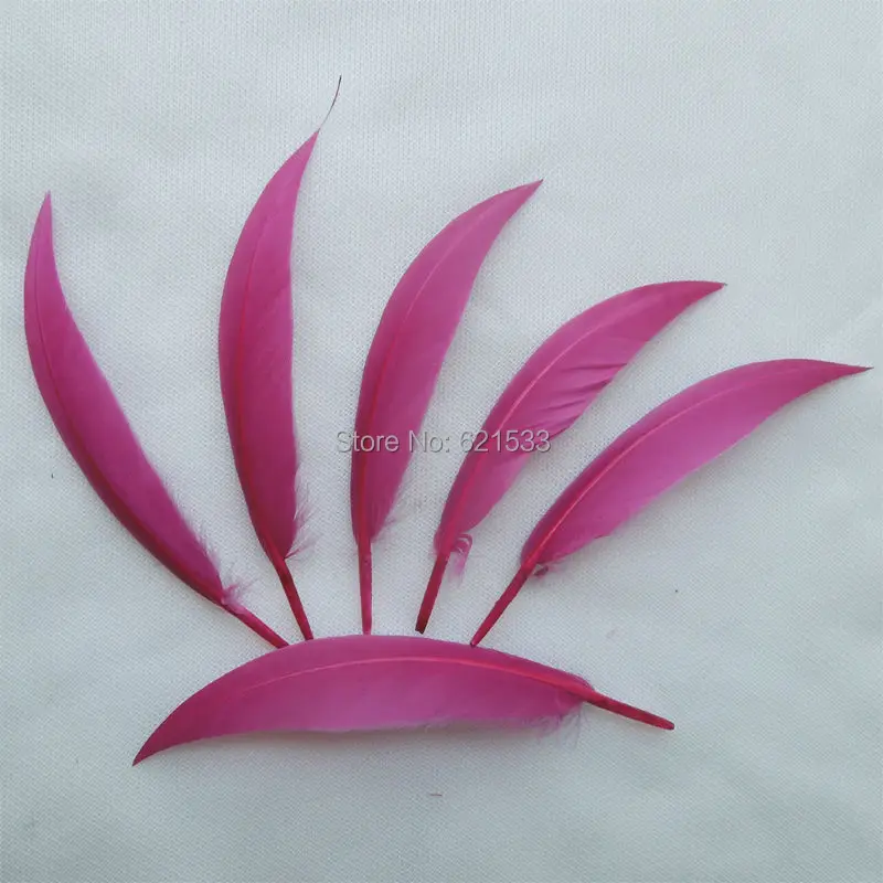 New! 200Pcs/Lot 10-15cm Berry Curved Goose Quill Feathers Purple Red Goose Quills,Loose Goose Feathers !
New! 200Pcs/Lot 10-15cm Berry Curved Goose Quill Feathers Purple Red Goose Quills,Loose Goose Feathers !