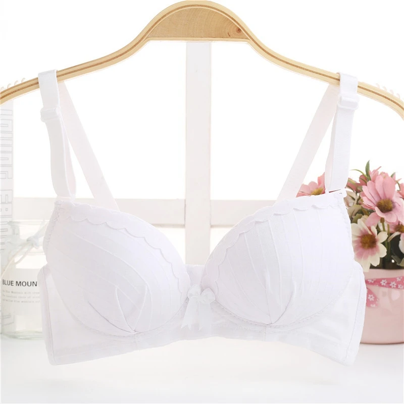 Cute Teenage Girl Underwear Puberty Students Bra Wire Free Thin Training Plaid Printed Bow Bra With Detachable Ribbon
Cute Teenage Girl Underwear Puberty Students Bra Wire Free Thin Training Plaid Printed Bow Bra With Detachable Ribbon