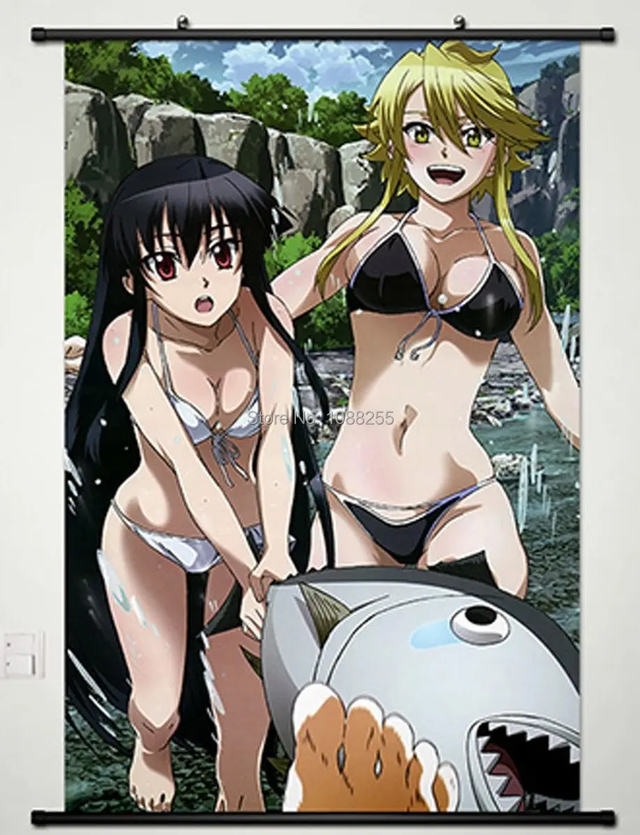 Домашний декор аниме Akame ga KILL Wall Scroll Poster сексуальное бикини & Leone | Дом и сад