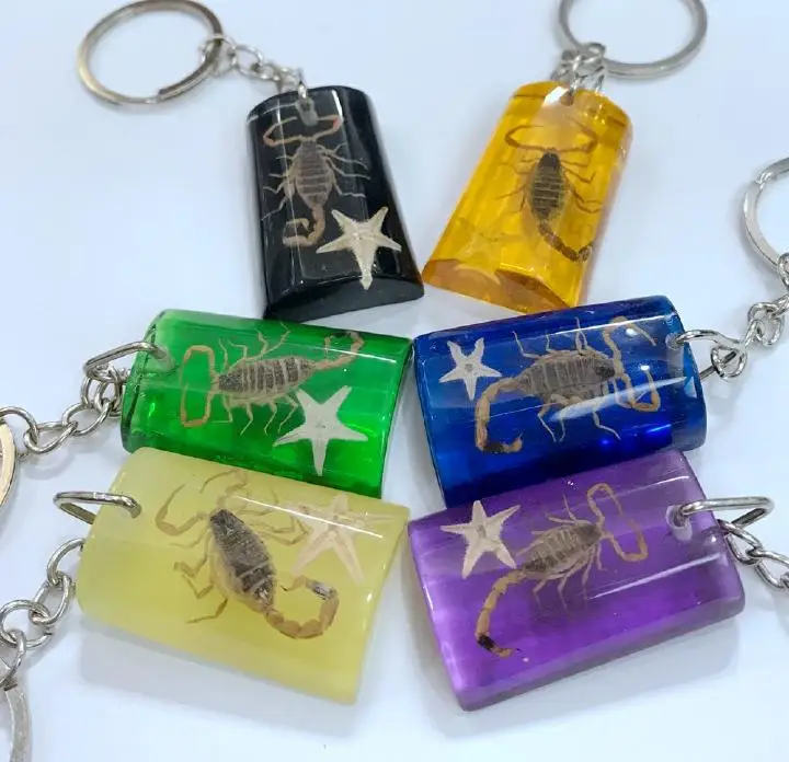 free shipping yqtdmy 12 pcs cool gold scorpion starfish shape vogue mixed colorful bottom keychain
free shipping yqtdmy 12 pcs cool gold scorpion starfish shape vogue mixed colorful bottom keychain