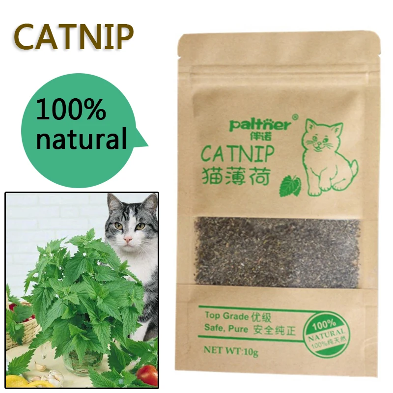 Fashion Pet Supplies Menthol Flavor Funny Cat Toys New Organic 100% Natural Premium Catnip Cattle Grass
Fashion Pet Supplies Menthol Flavor Funny Cat Toys New Organic 100% Natural Premium Catnip Cattle Grass