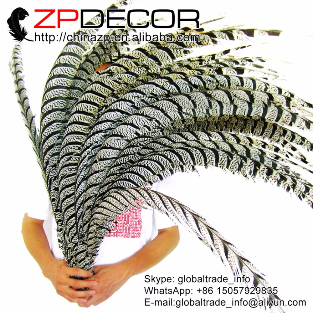 ZPDECOR 32-36 дюймов (80-90 см) 10 шт./лот, редкие натуральные черные и белые зебры, женские перья из хвоста фазана, оптовая продажа
ZPDECOR 32-36 дюймов (80-90 см) 10 шт./лот, редкие натуральные черные и белые зебры, женские перья из хвоста фазана, оптовая продажа