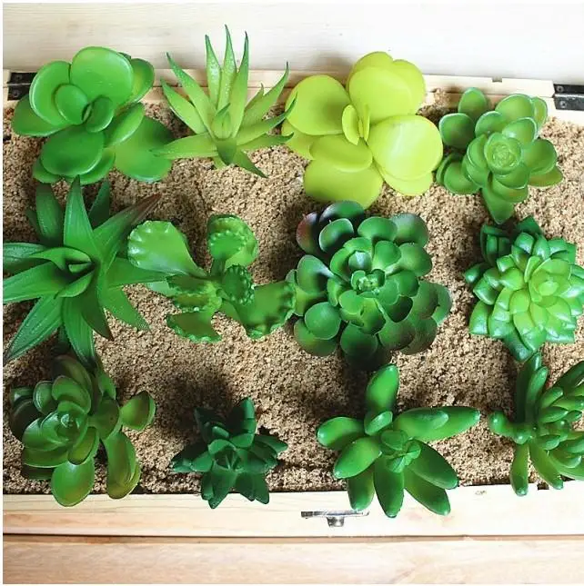 Simulation Of Artificial Potted Plants Succulents Mini Decorative Flowers For Novelty Home Decor Free Shipping
Simulation Of Artificial Potted Plants Succulents Mini Decorative Flowers For Novelty Home Decor Free Shipping