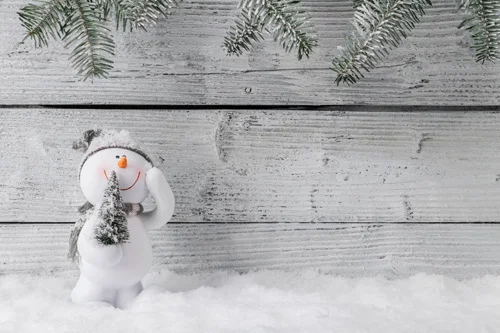 Wood wall snowma christmas theme photography backdrops,fondos fotografia navidad,Vinyl newborn photo background christmas5ftx3ft
Wood wall snowma christmas theme photography backdrops,fondos fotografia navidad,Vinyl newborn photo background christmas5ftx3ft