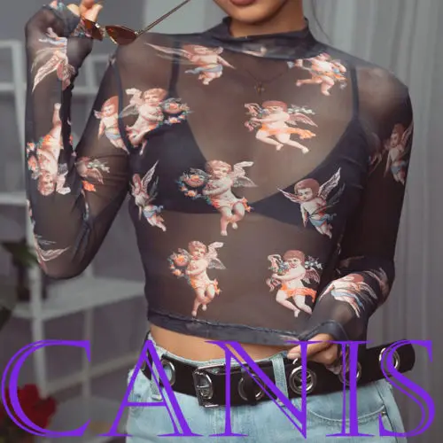 Newest arrival see through High collar Sexy Women High Neck Flower Transparent Mesh Sheer Crop Top Long Sleeve
Newest arrival see through High collar Sexy Women High Neck Flower Transparent Mesh Sheer Crop Top Long Sleeve