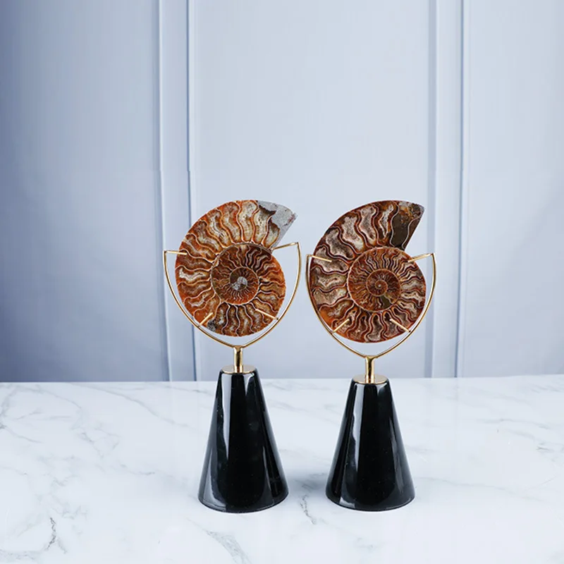 Nordic Nautilus Fossil Decoration Titanium Gold Stainless Steel Home Jewelry Model Room Living Room Marble Crafts Limited sales
Nordic Nautilus Fossil Decoration Titanium Gold Stainless Steel Home Jewelry Model Room Living Room Marble Crafts Limited sales