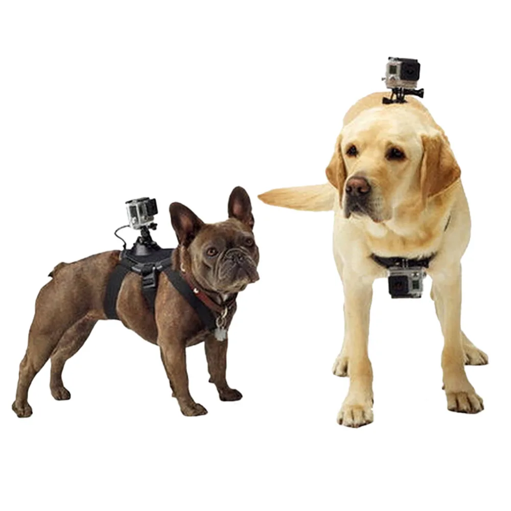 Штативы для GoPro аксессуары регулируемое крепление для собаки нагрудный ремень крепление для спортивной камеры Gopro HeroAction
Штативы для GoPro аксессуары регулируемое крепление для собаки нагрудный ремень крепление для спортивной камеры Gopro HeroAction