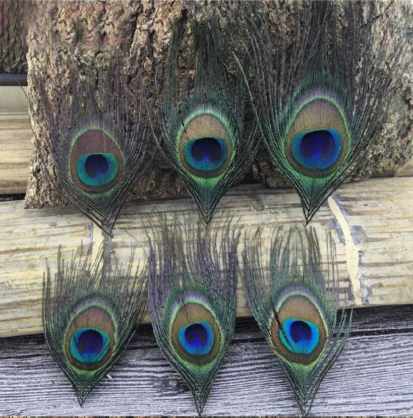 20pcs Natural Peacock Eye Feather For Jewelry Postcard Photo Frame Bookmark Scrapbooking Making Craft DIY
20pcs Natural Peacock Eye Feather For Jewelry Postcard Photo Frame Bookmark Scrapbooking Making Craft DIY