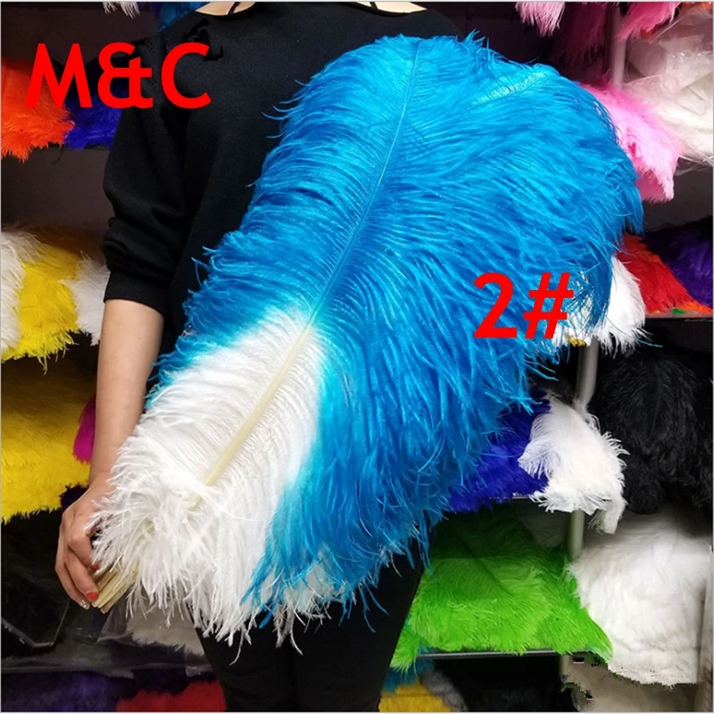 Price for 50pcs Two tone ostrich feather 36 colors turquoise blue tip with white ostrich plumes for wedding party home decorate
Price for 50pcs Two tone ostrich feather 36 colors turquoise blue tip with white ostrich plumes for wedding party home decorate