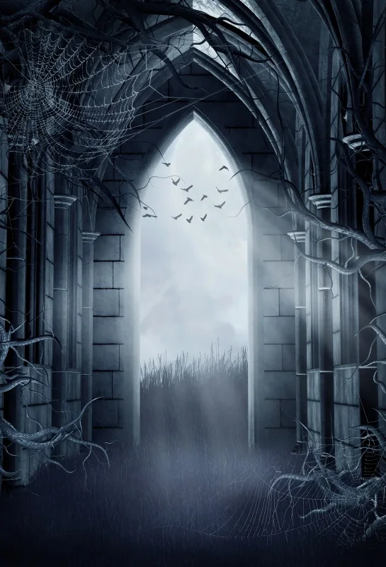 Laeacco Scared Dark Palace Arch Night Scenic Photography Backgrounds Customized Vinyl Photographic Backdrops For Photo Studio
Laeacco Scared Dark Palace Arch Night Scenic Photography Backgrounds Customized Vinyl Photographic Backdrops For Photo Studio