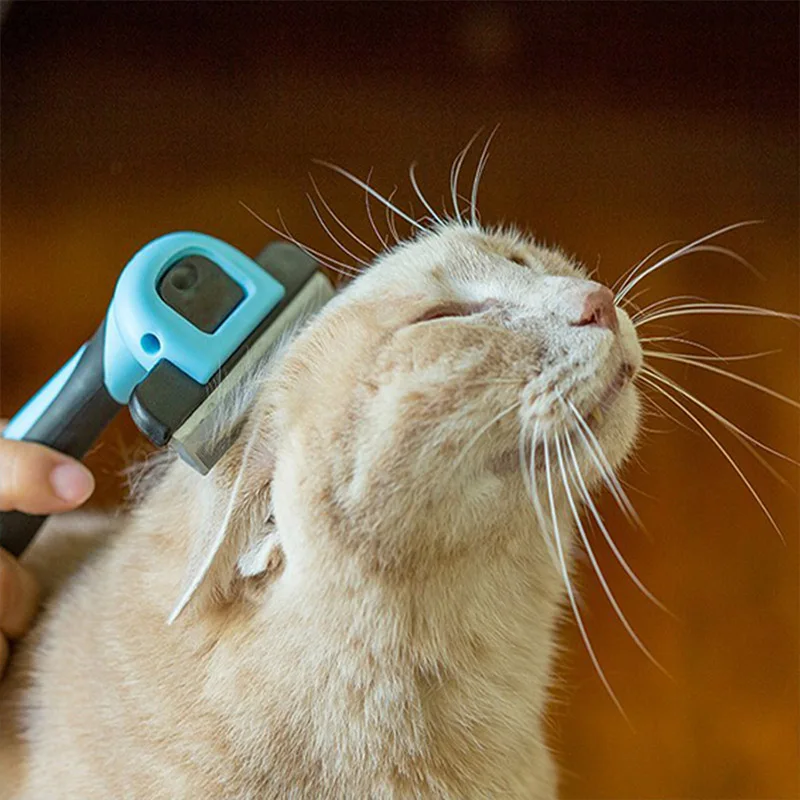 Pet Detachable Clipper Dog Brush Pet Grooming Tool Hair Removal Comb for Dogs Cats Brush Hair Shedding Trimming for Cat Dog
Pet Detachable Clipper Dog Brush Pet Grooming Tool Hair Removal Comb for Dogs Cats Brush Hair Shedding Trimming for Cat Dog