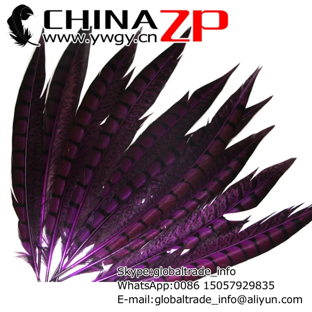 Exporting from CHINAZP Factory 200pcs/lot 30-35cm(12~14inch) Unique Dyed Purple Lady Amherst Pheasant Feathers
Exporting from CHINAZP Factory 200pcs/lot 30-35cm(12~14inch) Unique Dyed Purple Lady Amherst Pheasant Feathers