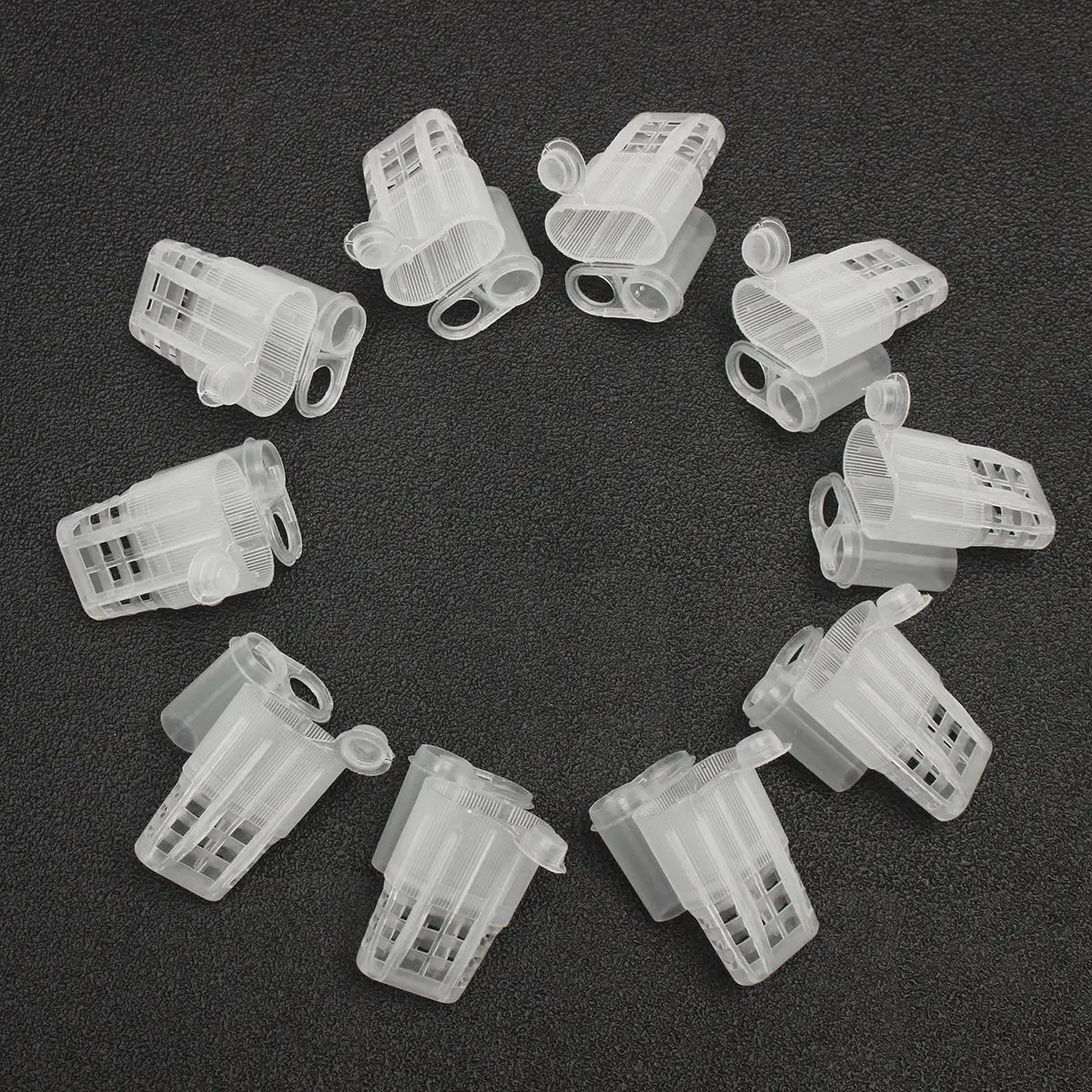 155pcs plastic Queen Rearing System Cultivating Box Cell Cups Bee Catcher Cage Beekeeping Tool Equipment
155pcs plastic Queen Rearing System Cultivating Box Cell Cups Bee Catcher Cage Beekeeping Tool Equipment