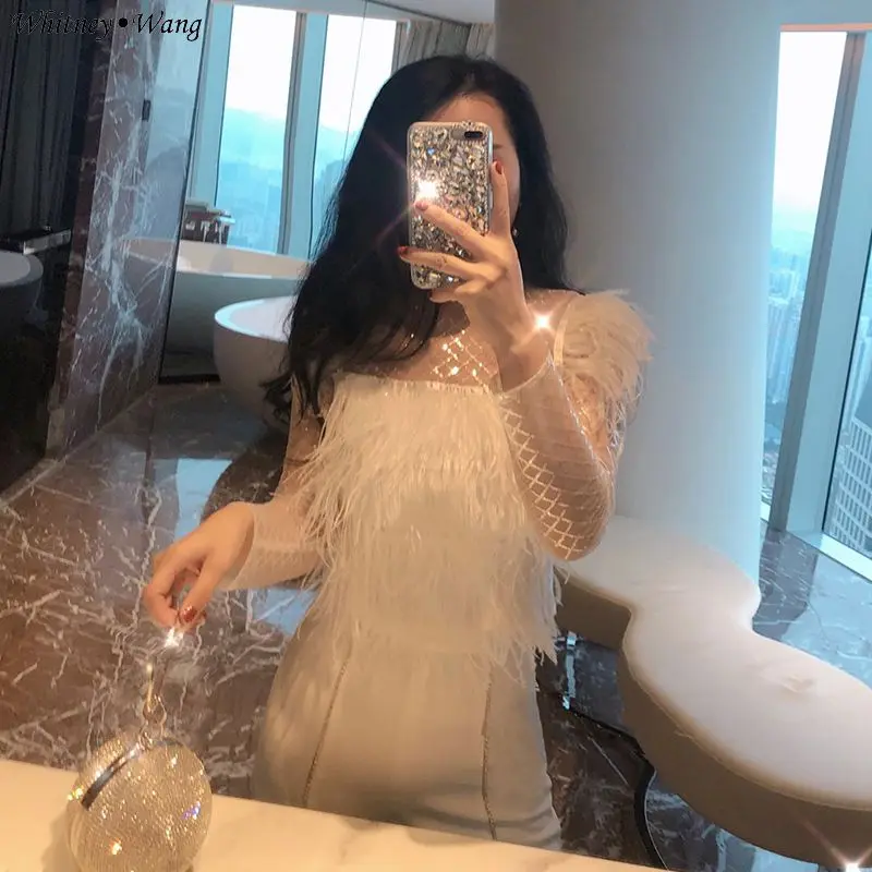 WHITNEY WANG 2019 весенне летняя модная Уличная Сексуальная Прозрачная сетчатая блузка