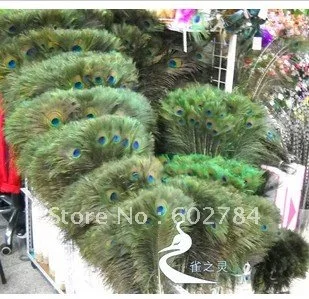 Top quality peacock feather,100pcs/lot, length 10-12inches, 30-35cm eye width 3.5cm natural peacock feather
Top quality peacock feather,100pcs/lot, length 10-12inches, 30-35cm eye width 3.5cm natural peacock feather