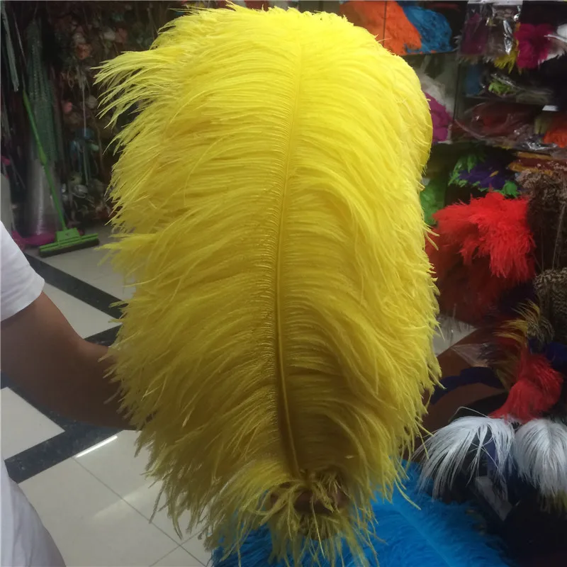 Wholesale 100 Pcs/Lot Natural Ostrich Feathers Yellow Hard rod 15-75CM Hotel Party Wedding Decorations Jewelry plumes Feather
Wholesale 100 Pcs/Lot Natural Ostrich Feathers Yellow Hard rod 15-75CM Hotel Party Wedding Decorations Jewelry plumes Feather