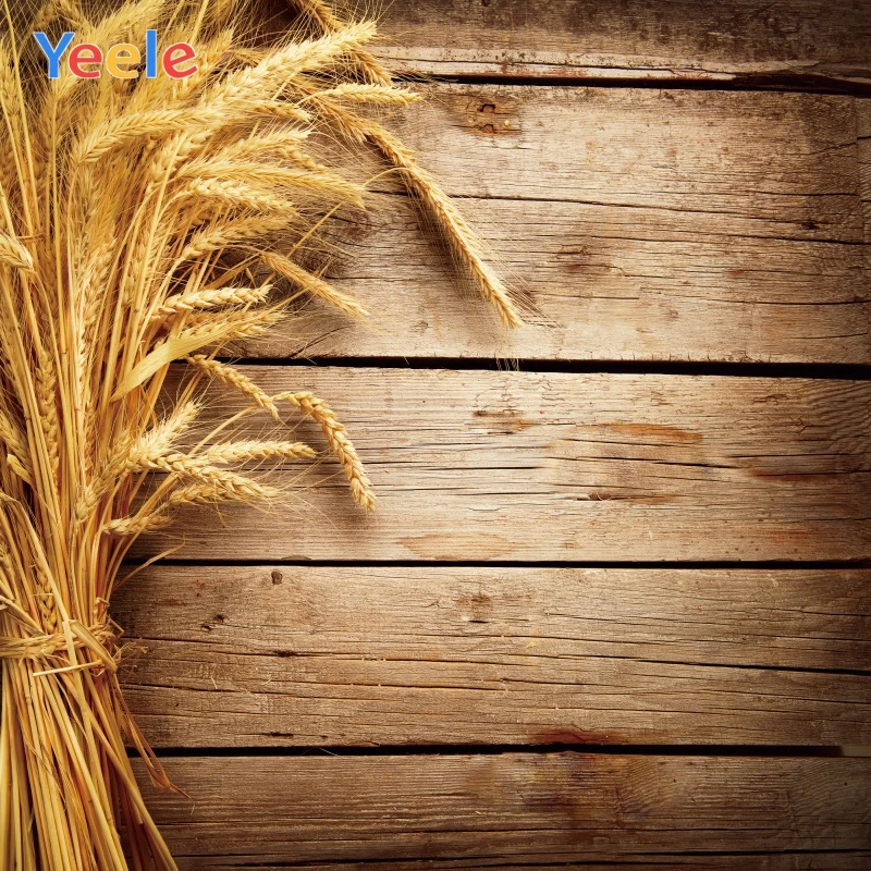 Yeele Wheat Wooden Floor Bright Harvest Farmer Photography Backgrounds Customized Photographic Backdrops for Photo Studio
Yeele Wheat Wooden Floor Bright Harvest Farmer Photography Backgrounds Customized Photographic Backdrops for Photo Studio