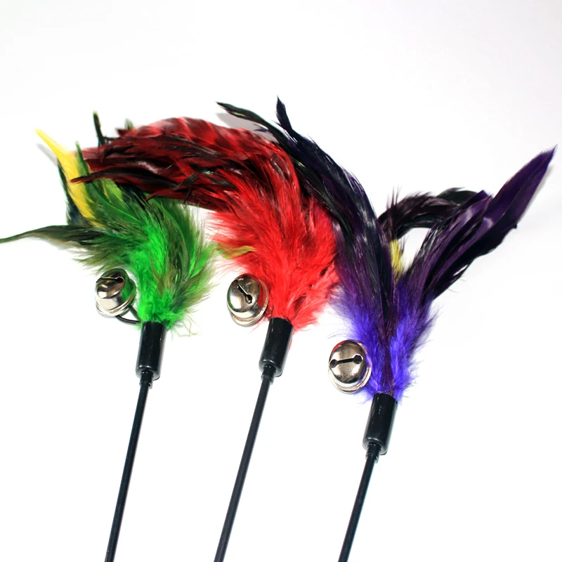 1/4 pcs Teasing cat stick toys feathered bells tease the cat's toy Scratch Board stick Cat Toys Interactive Scratching For Cats
1/4 pcs Teasing cat stick toys feathered bells tease the cat's toy Scratch Board stick Cat Toys Interactive Scratching For Cats