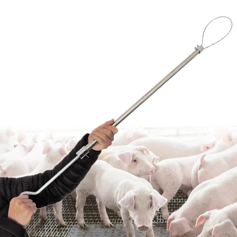 Farm animals Livestock Long Distance Pig equipment longboom set pig the beast Stainless steel long rod set of pig Guinea Pigs
Farm animals Livestock Long Distance Pig equipment longboom set pig the beast Stainless steel long rod set of pig Guinea Pigs