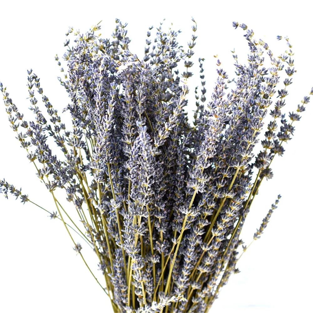 200g Natural Lavender Bundles Dried Lavender Flowers Bouquets For Wedding Home Decor Relaxing Sleeping Natural Lasting
200g Natural Lavender Bundles Dried Lavender Flowers Bouquets For Wedding Home Decor Relaxing Sleeping Natural Lasting