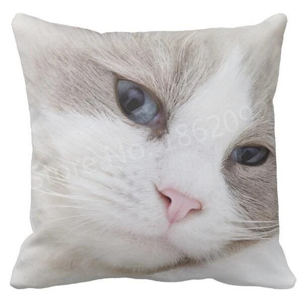 Cute Ragdoll Cat Face Cushion Cover Ragdoll Cat Throw Pillow Case Kitten Cats Sofa Car Seat Room Home Decor Pet Gifts Two Sides
Cute Ragdoll Cat Face Cushion Cover Ragdoll Cat Throw Pillow Case Kitten Cats Sofa Car Seat Room Home Decor Pet Gifts Two Sides