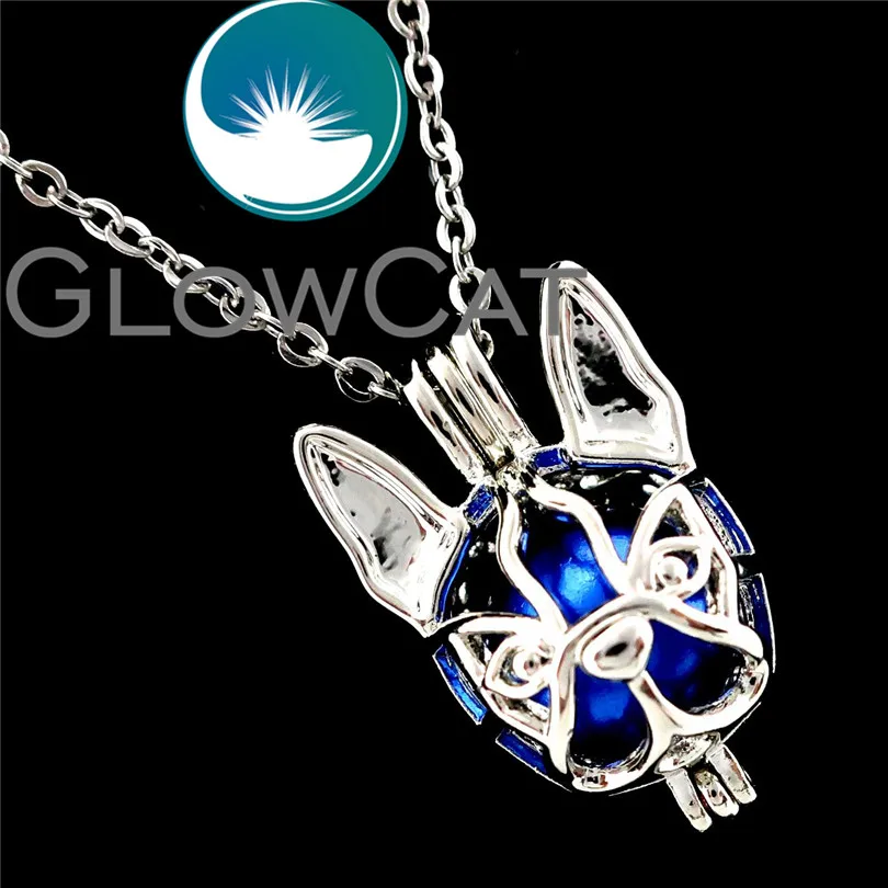 GLOWCAT R-K690 Dog Boston Terrier Beads Cage Pendant Essential Oil Diffuser Aromatherapy Pearl Cage Locket Necklace
GLOWCAT R-K690 Dog Boston Terrier Beads Cage Pendant Essential Oil Diffuser Aromatherapy Pearl Cage Locket Necklace