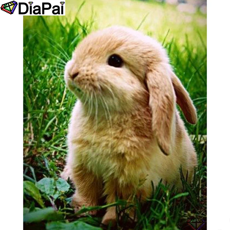DIAPAI 5D DIY Diamond Painting 100% Full Square/Round Drill "Animal rabbit" Diamond Embroidery Cross Stitch 3D Decor A22173
DIAPAI 5D DIY Diamond Painting 100% Full Square/Round Drill "Animal rabbit" Diamond Embroidery Cross Stitch 3D Decor A22173