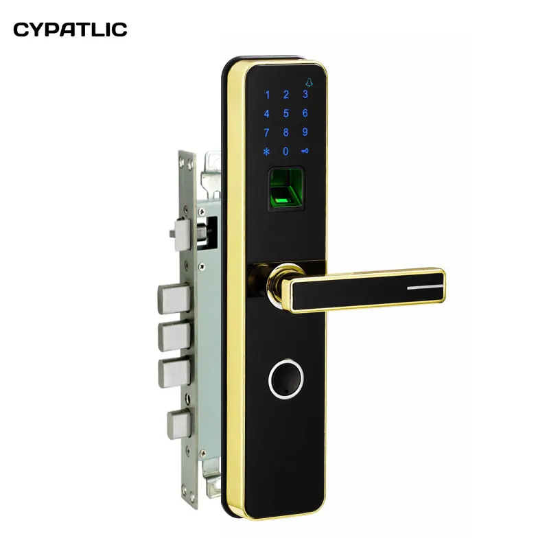 Cypatlic JCF3307 Щепка Цвет биометрический замок на дверь cassaforte Электрический кодовый с