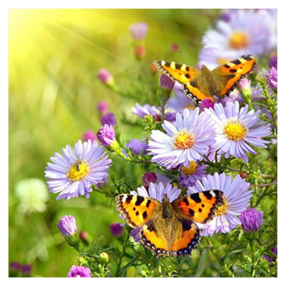 Decoration crafts diamond painting daisy diamond embroidery butterfly diamonds for picture full mosaic pattern square rhinestone
Decoration crafts diamond painting daisy diamond embroidery butterfly diamonds for picture full mosaic pattern square rhinestone