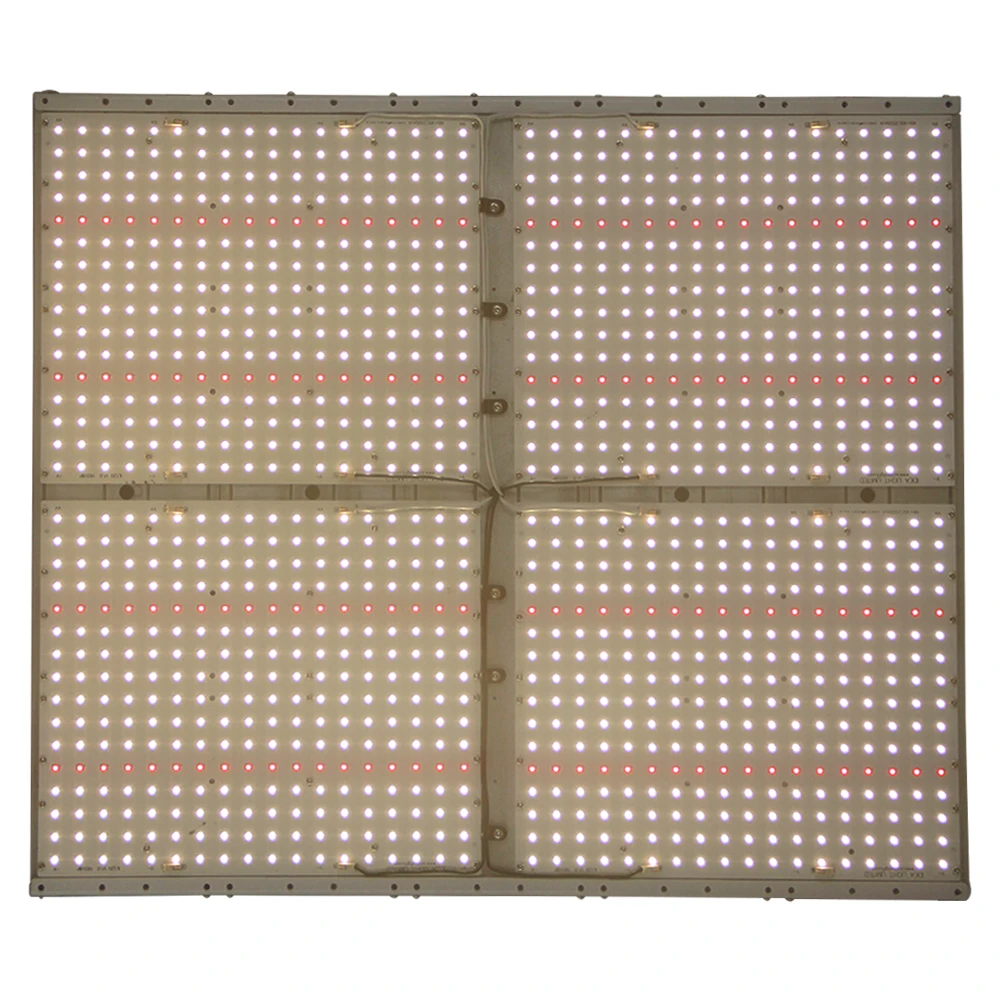 led grow light quantum board Samsung LM301B LED Full spectrum 240W 480W 960W samsung 3000K 660nm,Veg/Bloom state Meanwell driver
led grow light quantum board Samsung LM301B LED Full spectrum 240W 480W 960W samsung 3000K 660nm,Veg/Bloom state Meanwell driver