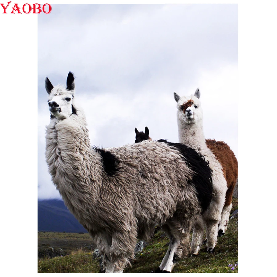 Full Square Round Diamond painting Animal Alpaca DIY 3D Diamond mosaic Handmade gift Diamond embroidery sale Cross-stitch kits
Full Square Round Diamond painting Animal Alpaca DIY 3D Diamond mosaic Handmade gift Diamond embroidery sale Cross-stitch kits