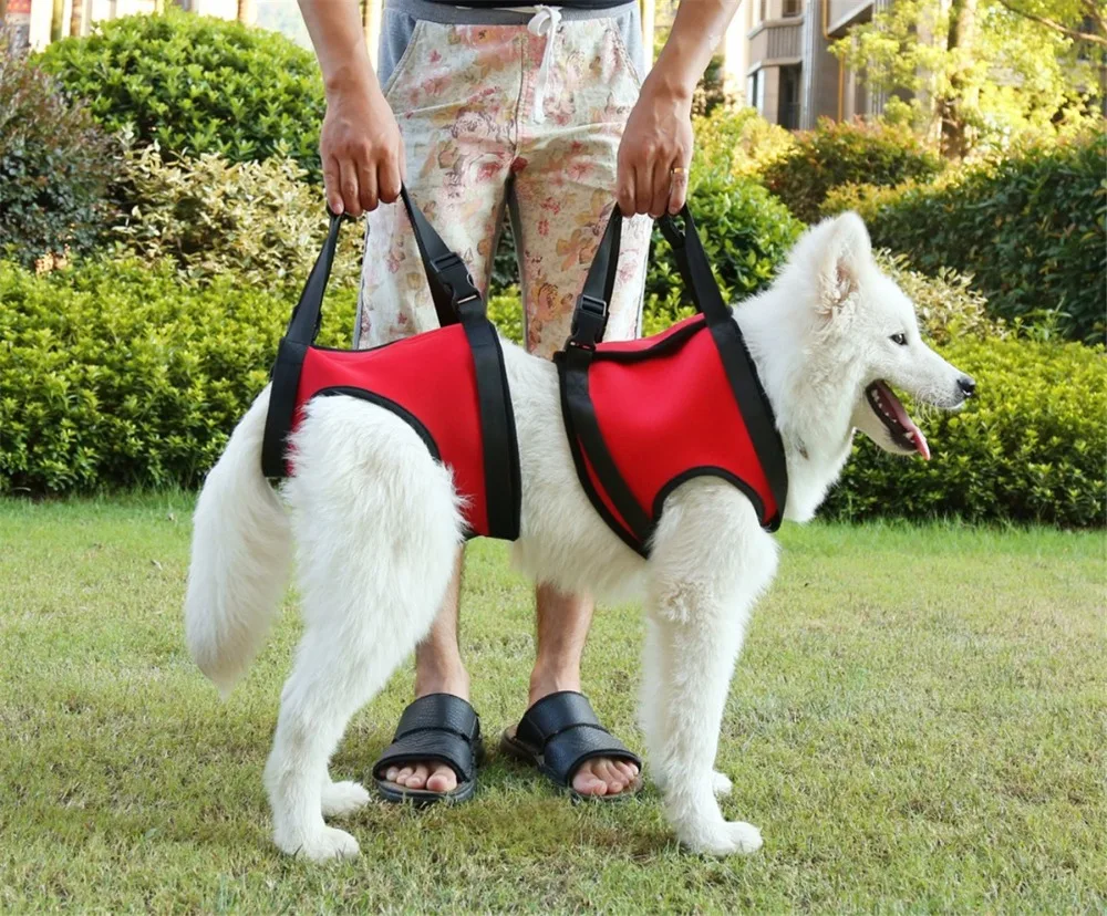 

Pet Dog Harness Walk Out Hand Strap Vest Dog Lift Support Lifting Band Pets Assist Travel Kit Dogs Collar Leash Dog Harness